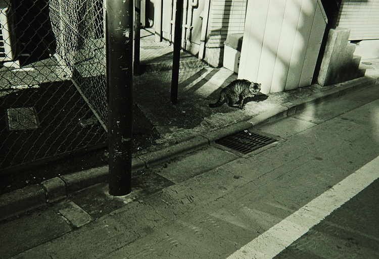 c0381632_18534160.jpg