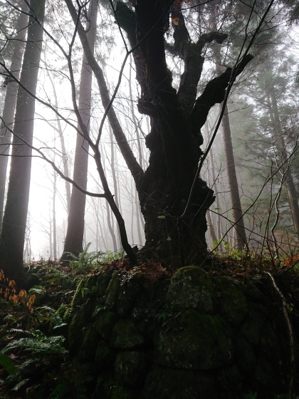 f0118332_21332142.jpg