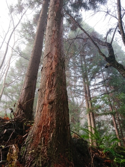 f0118332_21344931.jpg