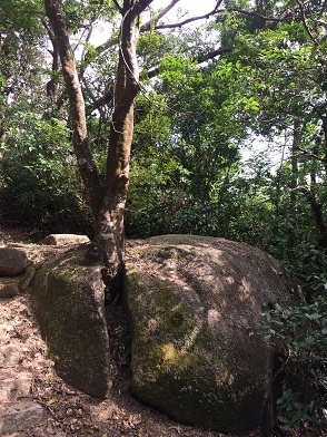 f0371533_11591324.jpg