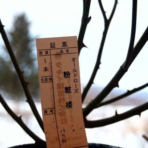 a0329935_07521019.jpeg