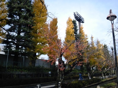 a0163738_10042133.jpg