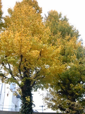 a0163738_10042954.jpg