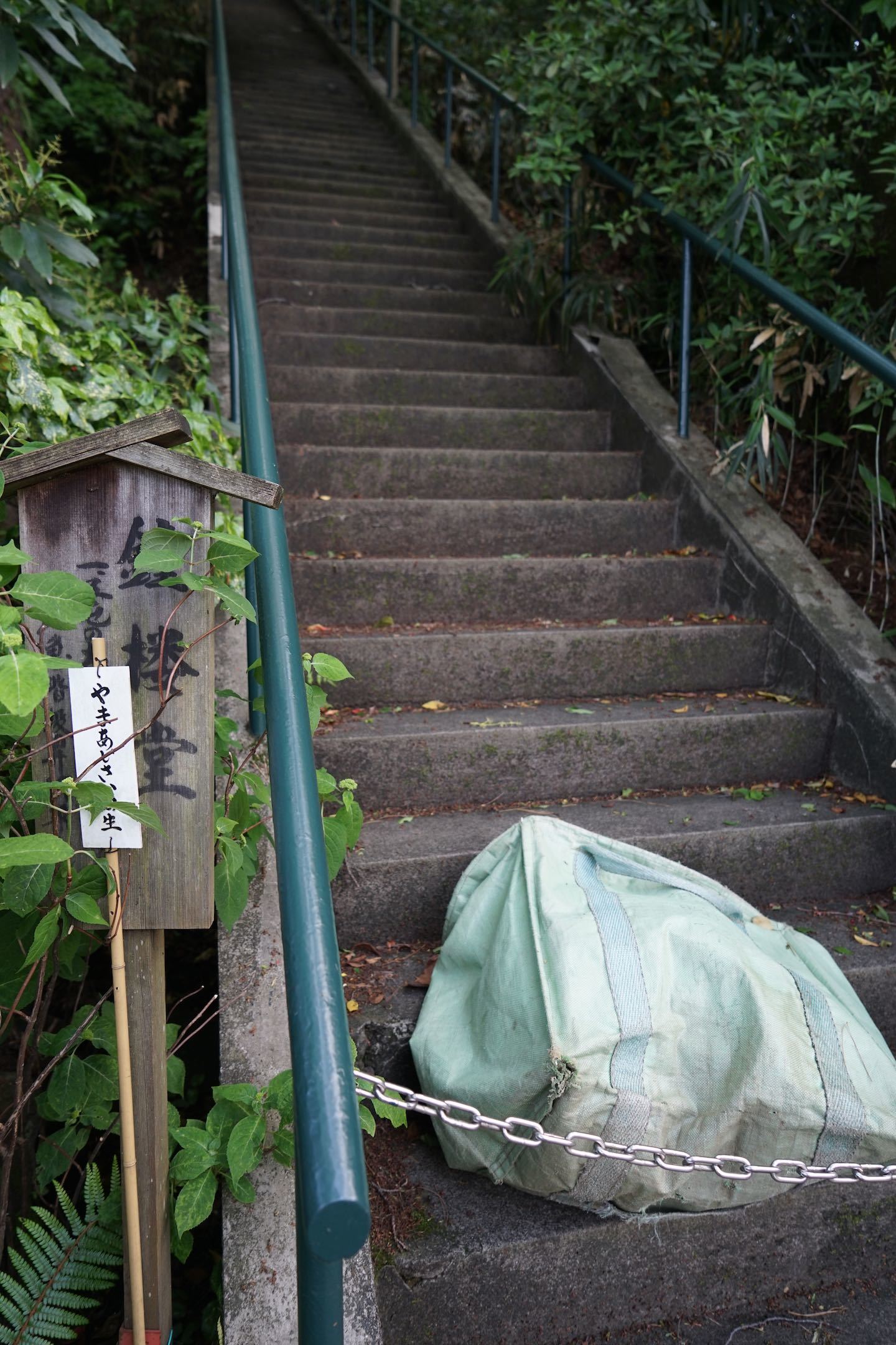 高幡不動尊金剛寺　3_b0360240_23191134.jpg