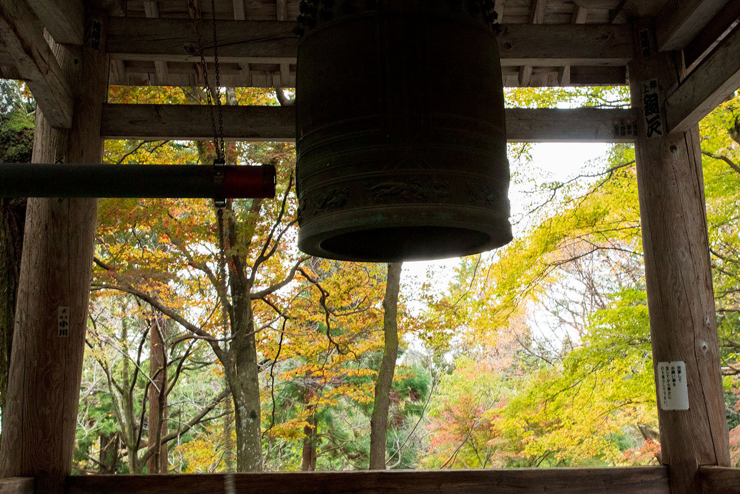 湖東三山　百濟寺の紅葉 ３_f0160440_17140004.jpg