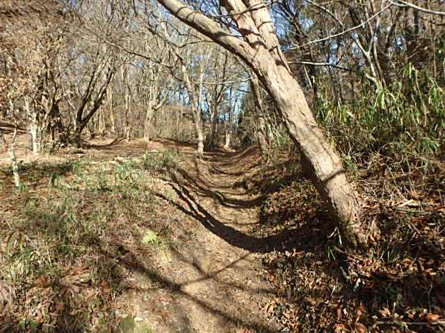 f0334143_9164356.jpg