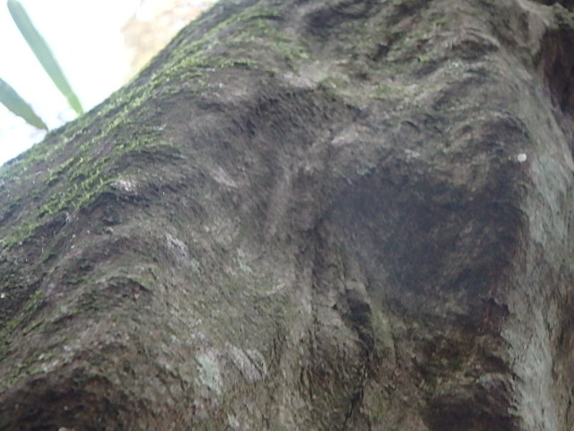 f0334143_9181477.jpg