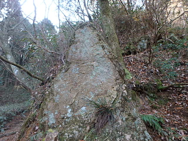 f0334143_9182293.jpg