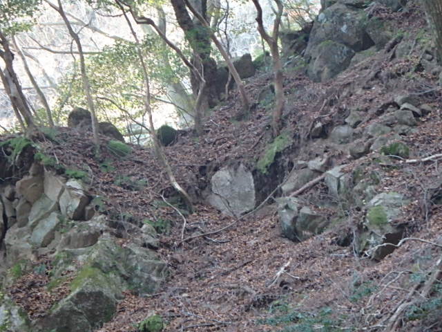 f0334143_9183557.jpg