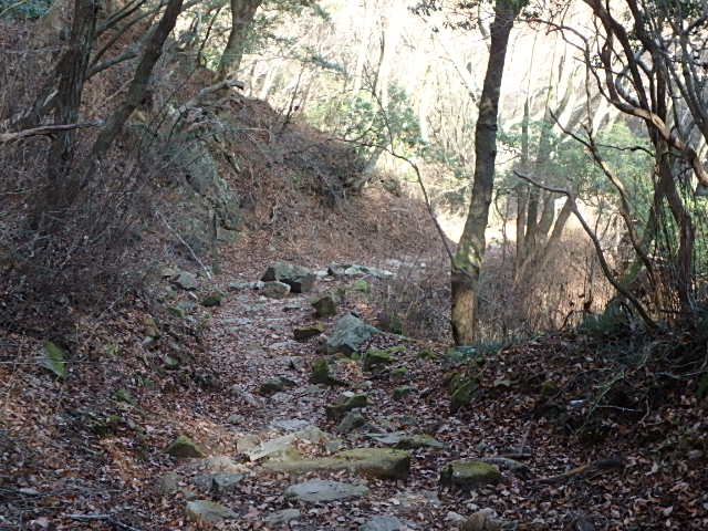 f0334143_9332434.jpg