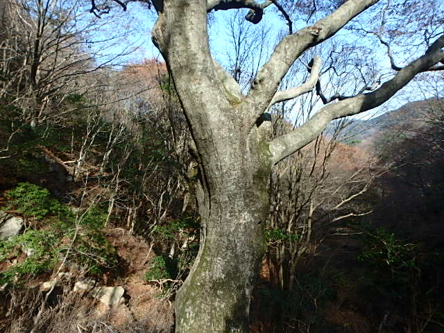f0334143_9343758.jpg