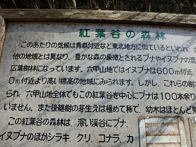 f0334143_9344667.jpg
