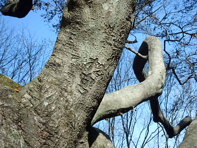 f0334143_936082.jpg