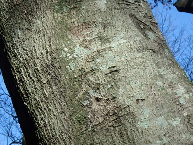 f0334143_9361183.jpg