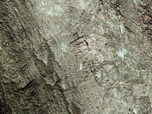 f0334143_9362145.jpg