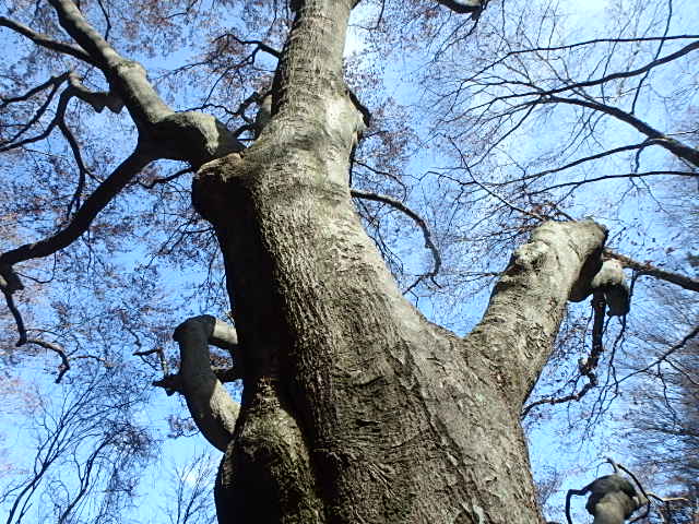 f0334143_9363669.jpg
