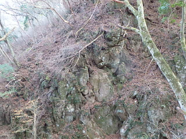 f0334143_9383729.jpg