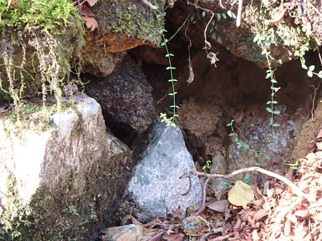 f0334143_9385688.jpg