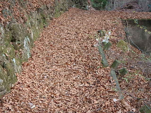 f0334143_9392466.jpg
