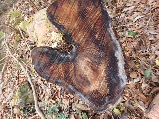 f0334143_9403183.jpg