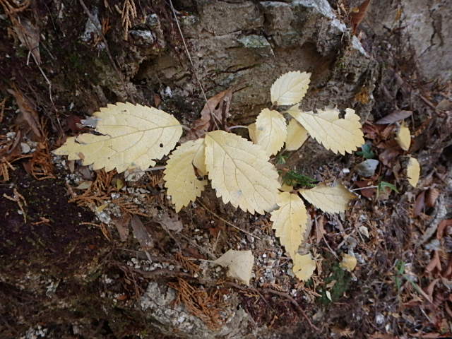 f0334143_9405864.jpg