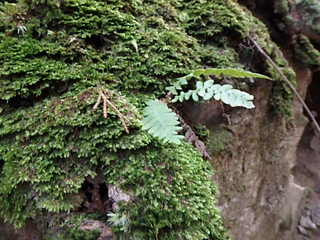 f0334143_9423524.jpg