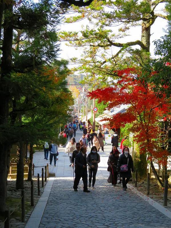 銀閣寺の庭園と紅葉20181129_e0237645_00421708.jpg