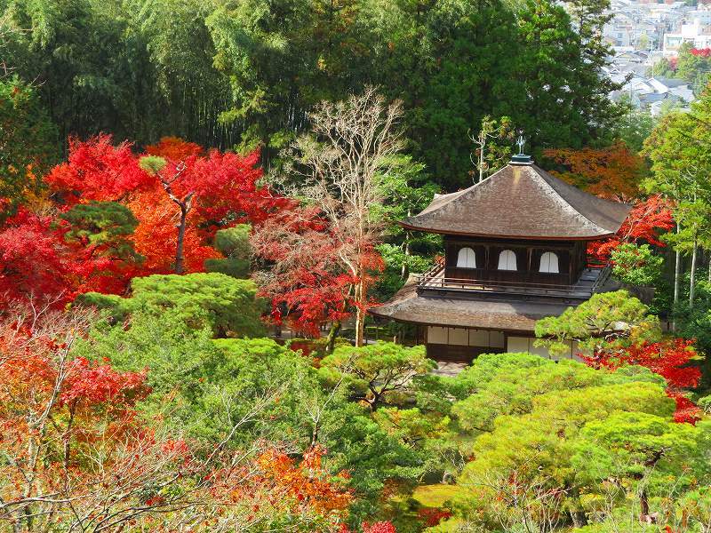銀閣寺の庭園と紅葉20181129_e0237645_00421710.jpg