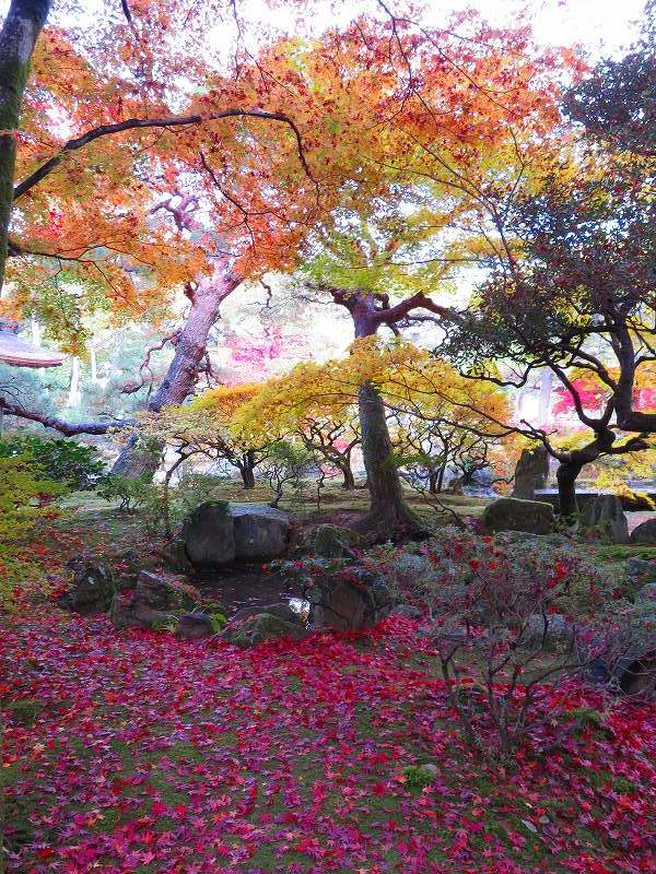 銀閣寺の庭園と紅葉20181129_e0237645_00421734.jpg
