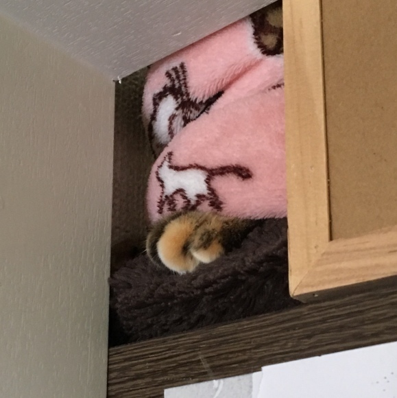 f0372445_13463488.jpeg