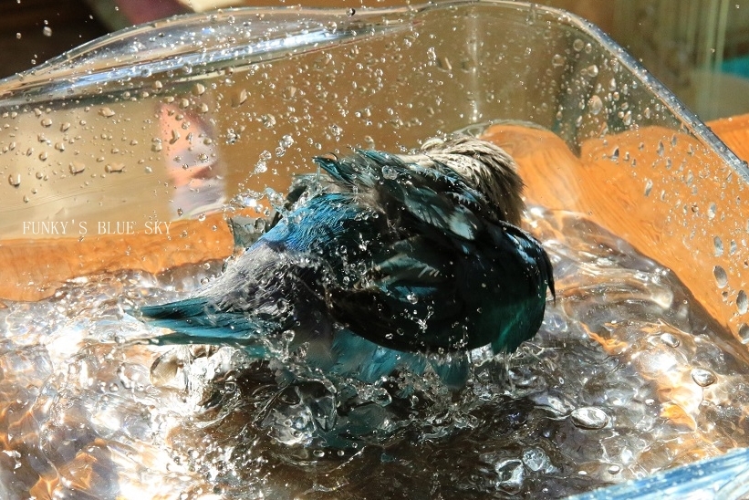 c0145250_09473876.jpg