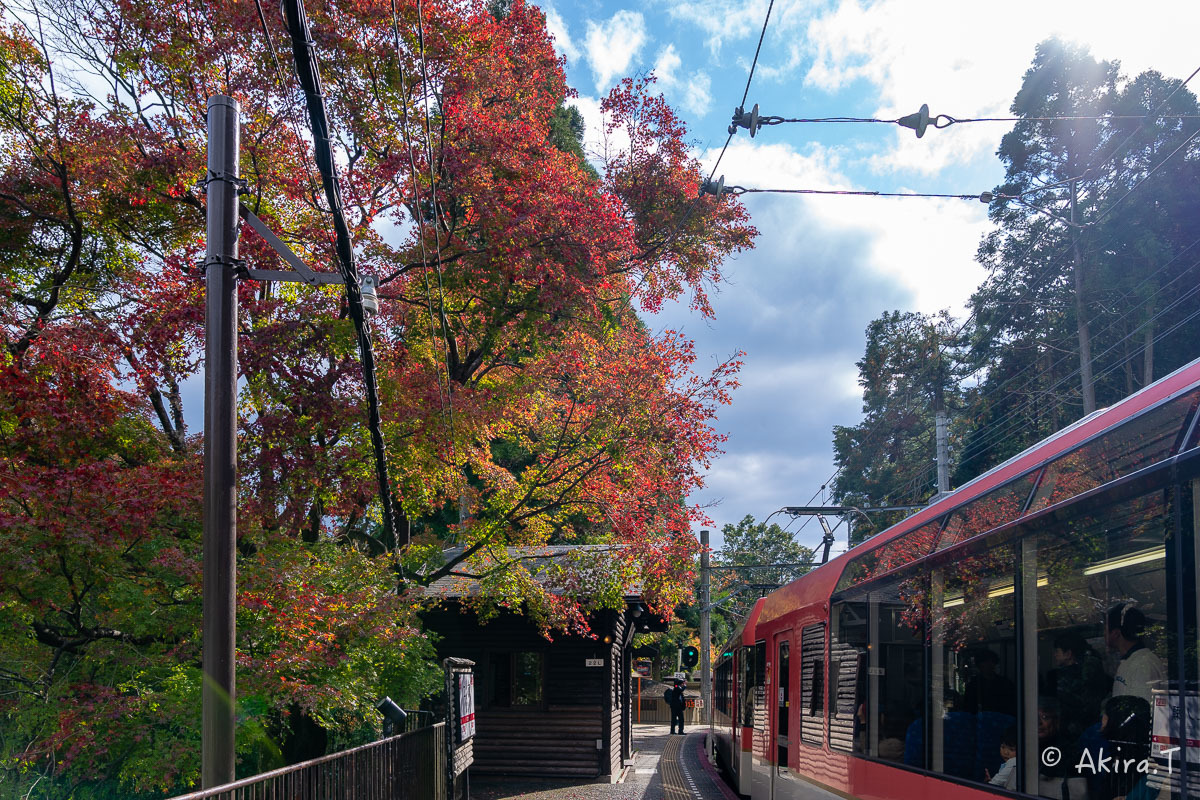 京都の紅葉 2018 〜11〜_f0152550_23083222.jpg