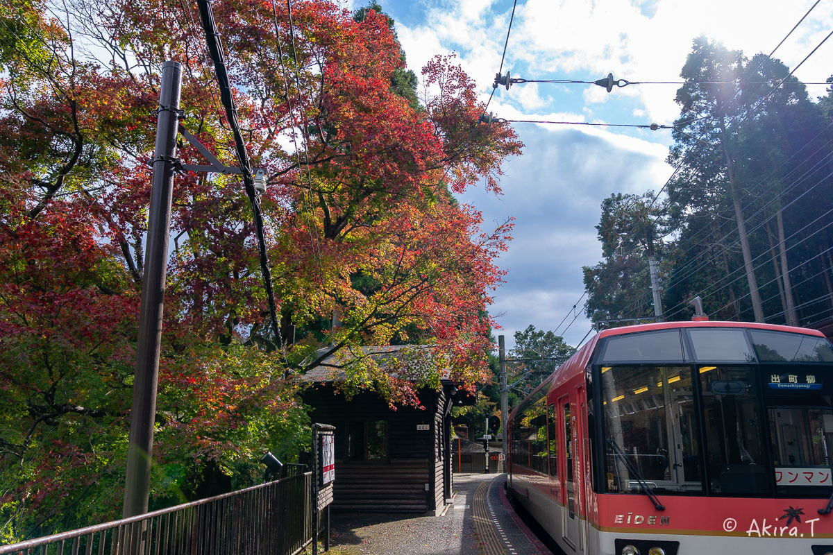 京都の紅葉 2018 〜11〜_f0152550_23084095.jpg