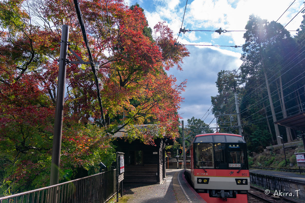 京都の紅葉 2018 〜11〜_f0152550_23085017.jpg