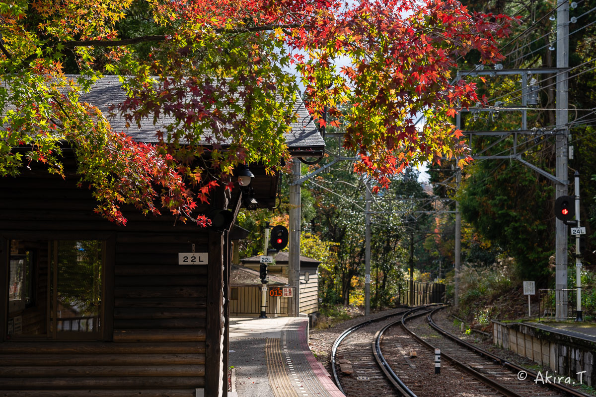 京都の紅葉 2018 〜11〜_f0152550_23090993.jpg