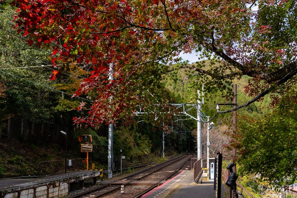 京都の紅葉 2018 〜11〜_f0152550_23093082.jpg