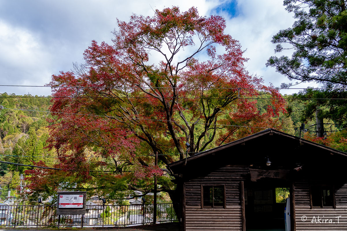 京都の紅葉 2018 〜11〜_f0152550_23093811.jpg