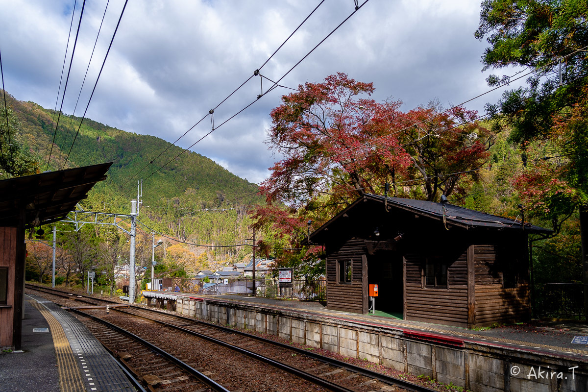 京都の紅葉 2018 〜11〜_f0152550_23094573.jpg