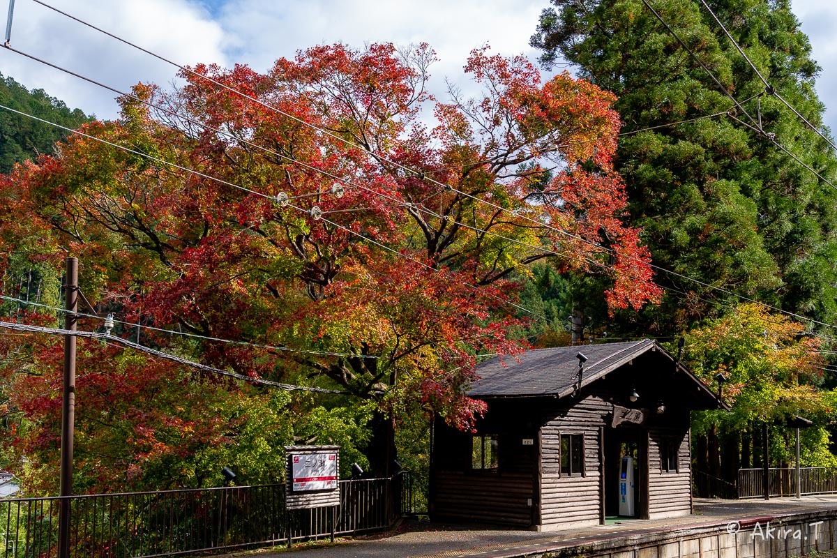 京都の紅葉 2018 〜11〜_f0152550_23095316.jpg