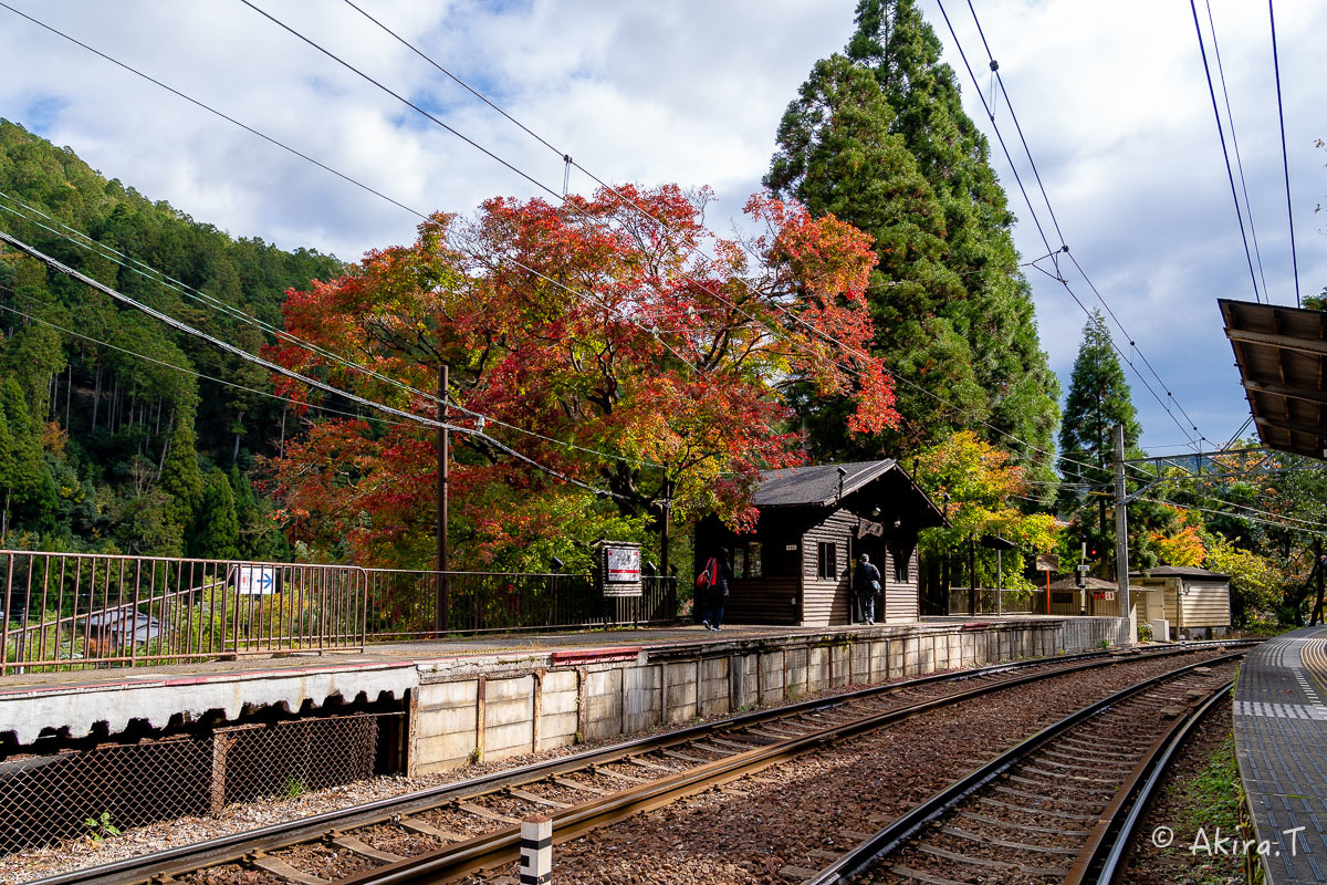 京都の紅葉 2018 〜11〜_f0152550_23113780.jpg