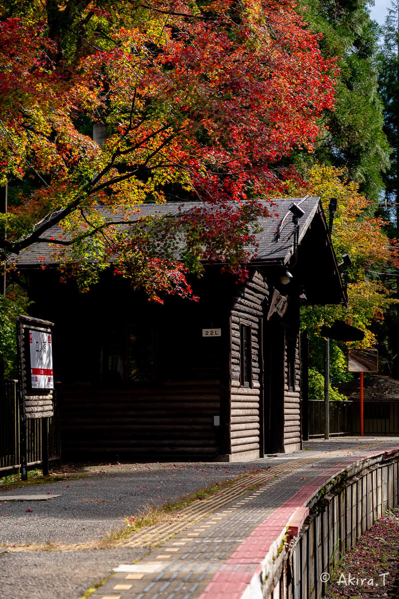 京都の紅葉 2018 〜11〜_f0152550_23115180.jpg