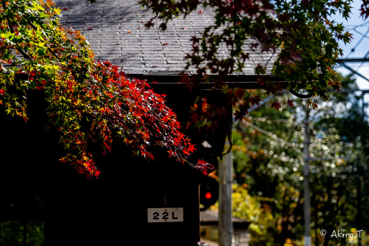 京都の紅葉 2018 〜11〜_f0152550_23121125.jpg