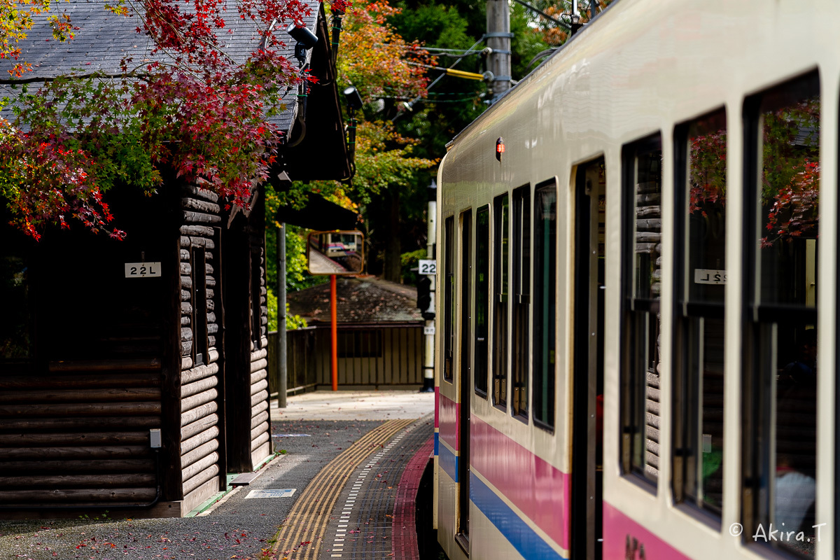 京都の紅葉 2018 〜11〜_f0152550_23122811.jpg