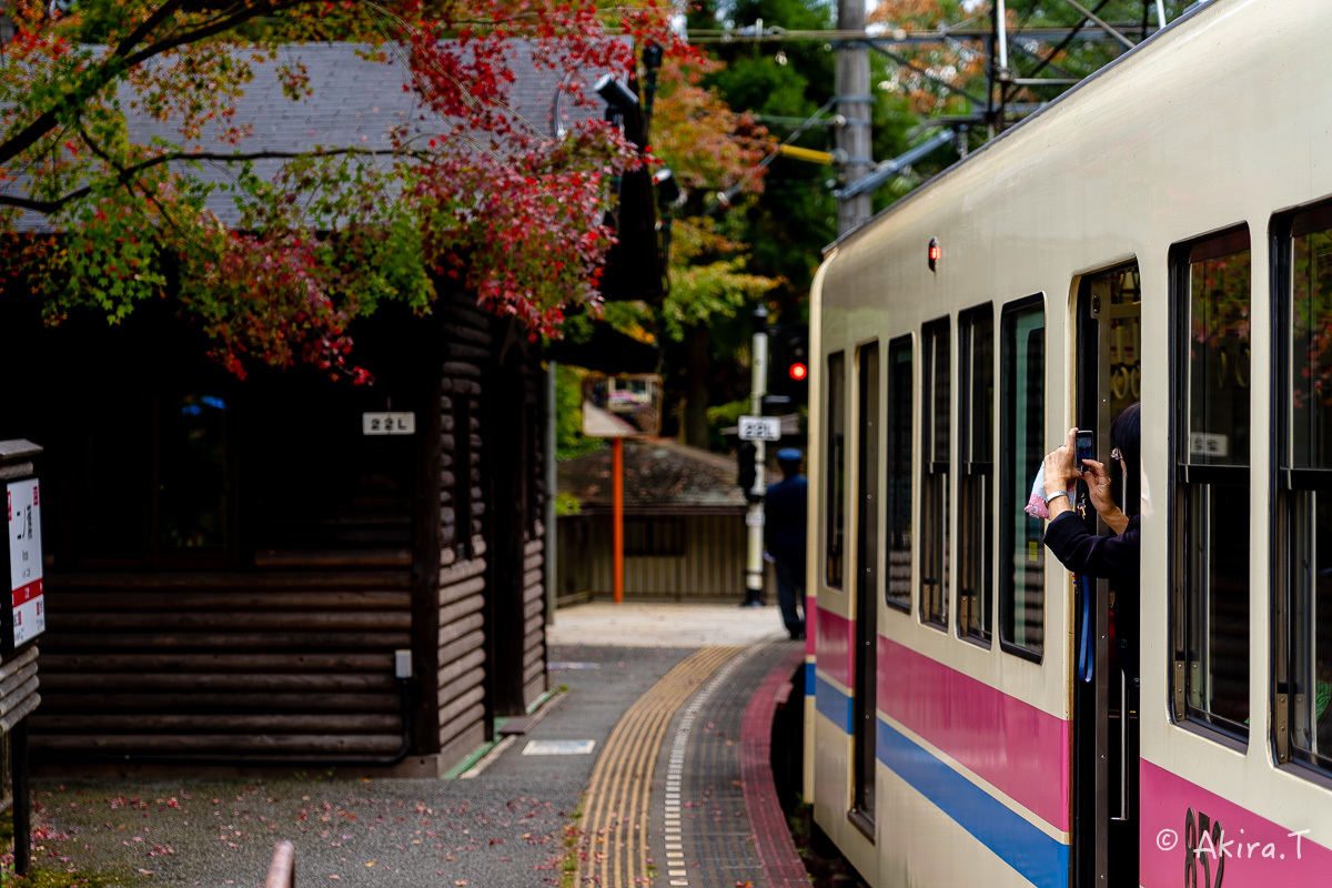 京都の紅葉 2018 〜11〜_f0152550_23124491.jpg