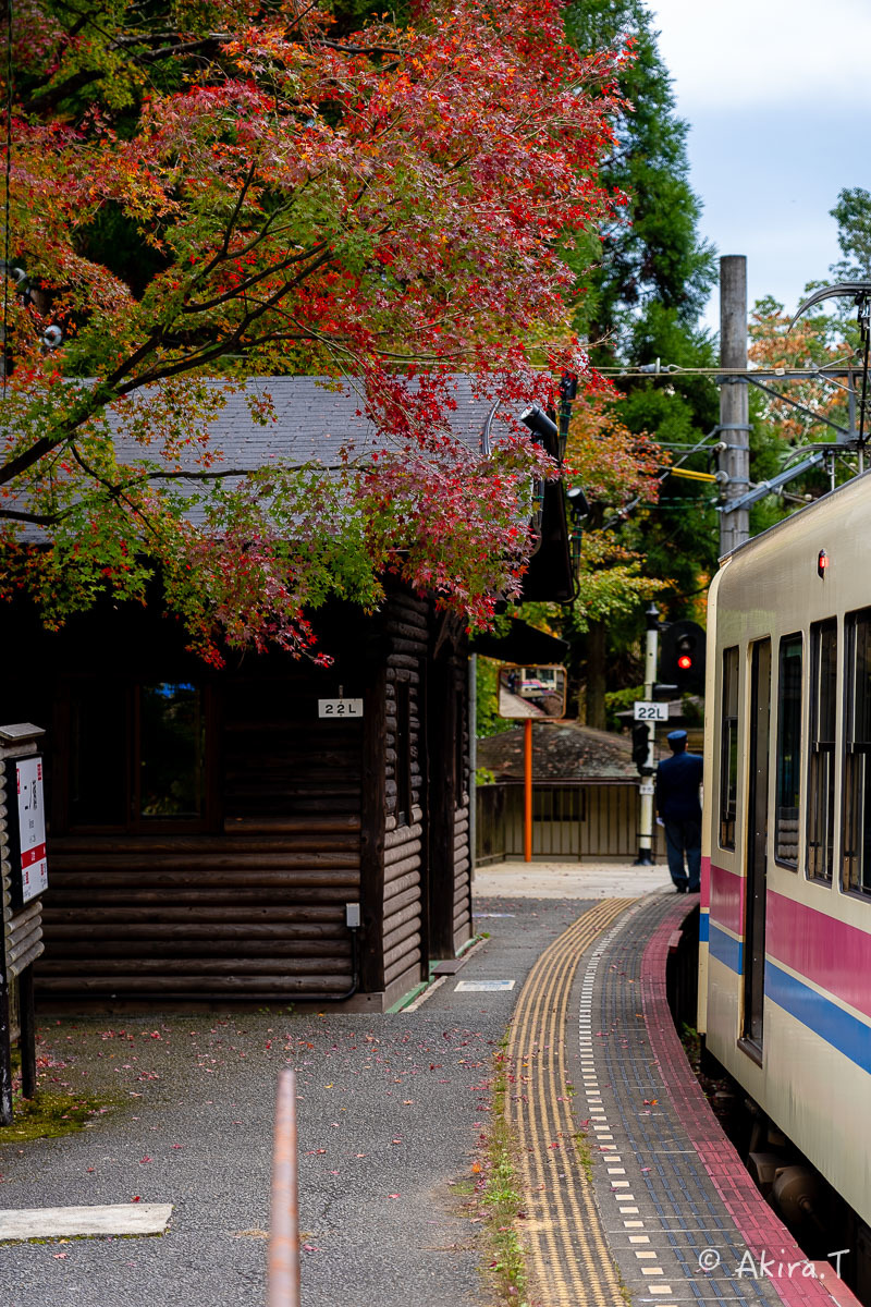 京都の紅葉 2018 〜11〜_f0152550_23131271.jpg