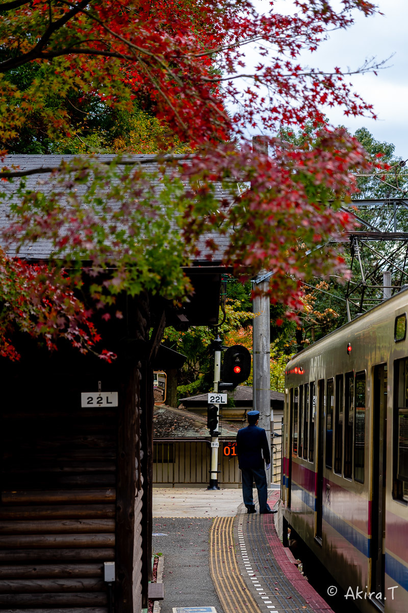 京都の紅葉 2018 〜11〜_f0152550_23132938.jpg