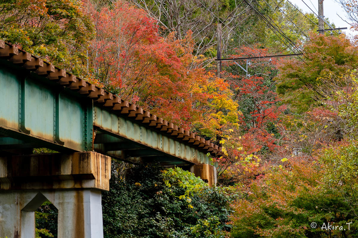 京都の紅葉 2018 〜11〜_f0152550_23140191.jpg