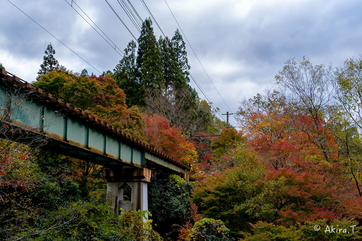 京都の紅葉 2018 〜11〜_f0152550_23144580.jpg