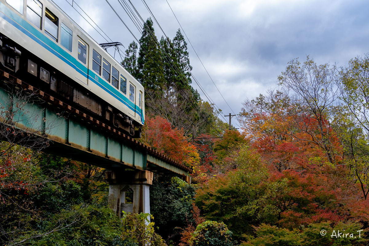 京都の紅葉 2018 〜11〜_f0152550_23150421.jpg