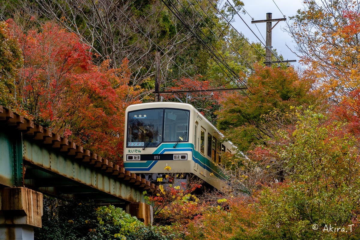 京都の紅葉 2018 〜11〜_f0152550_23155942.jpg